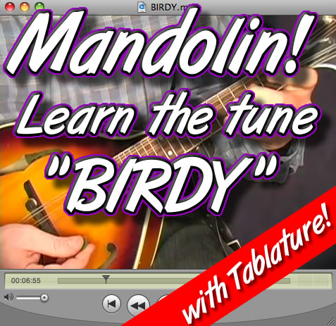 Birdy - Mandolin Lesson