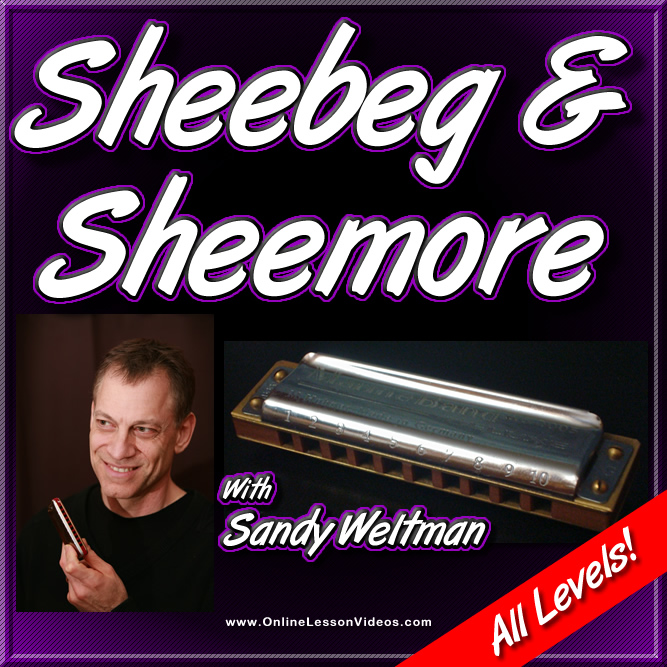 Sheebeg & Sheemore - Irish Harmonica Lesson
