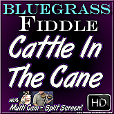CATTLE IN THE CANE - Bluegrass Fiddle Lesson