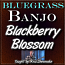 BLACKBERRY BLOSSOM - Bluegrass Banjo Lesson - WITH TABLATURE