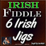 6 Irish Jigs - Beginner Irish Jig Package - 6 Full Lessons!