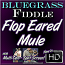 FLOP EARED MULE - Bluegrass Fiddle Lesson