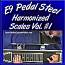 HARMONIZED SCALES - Vol. #1 - For E9 Pedal Steel - with Tablature!